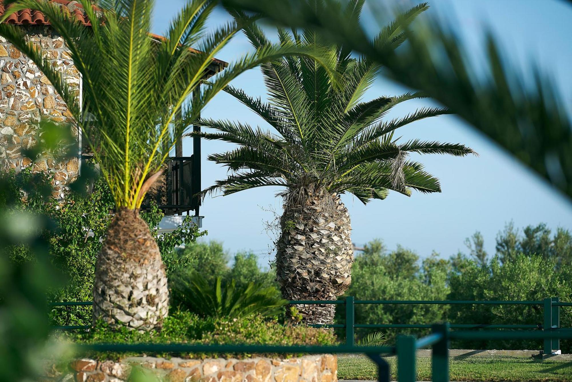 Glavas Inn Hotel Jerakiní Kültér fotó
